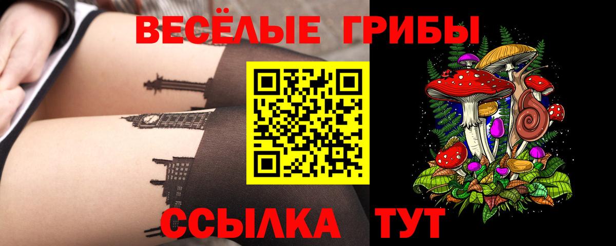 Хасавюрт  Псилоцибиновые грибы GOLDEN TEACHER  Вход с VPN  Псилоцибиновые грибы мицелий 