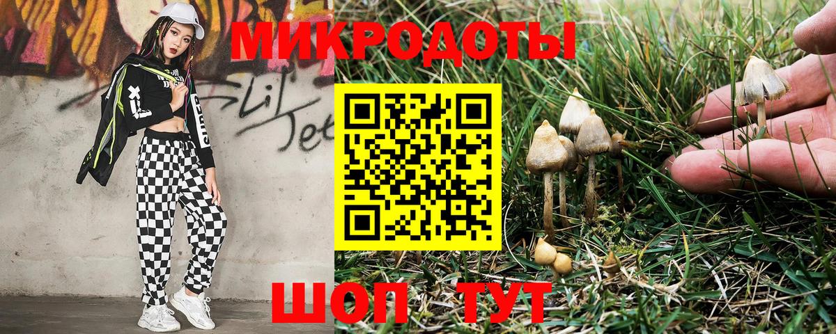 APVP СК   MDMA  ГЕРОИН  Вход с VPN  Хасавюрт  Мефедрон кристаллы  Бошки Шишки  Гашиш 